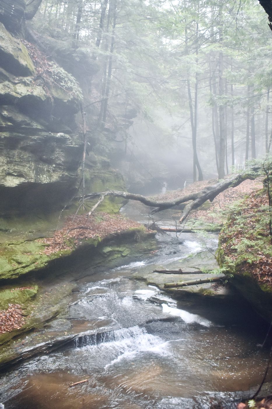 Hocking Hills State Park, USA