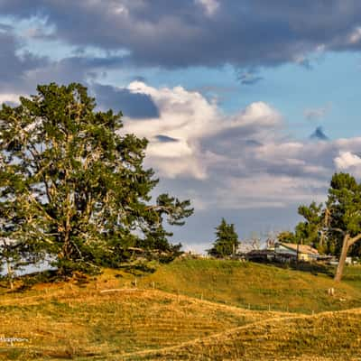 House on the Hill,  Putaruru, Waikato, North Island, New Zealand