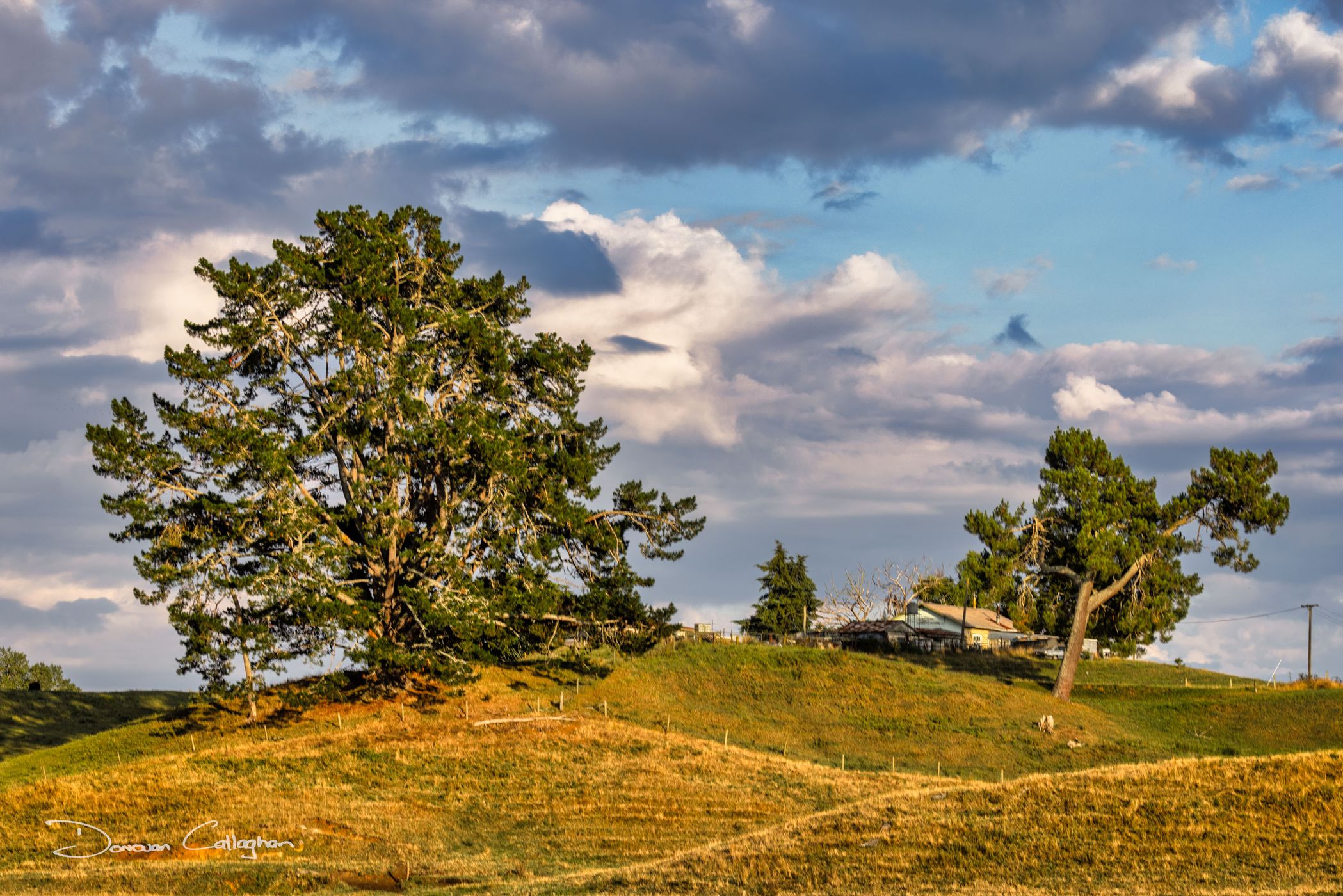 House on the Hill,  Putaruru, Waikato, North Island, New Zealand