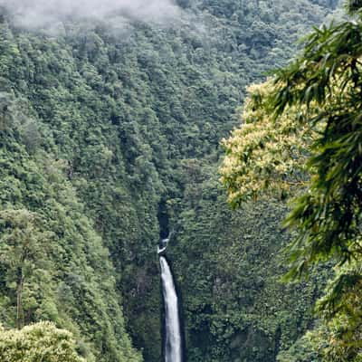 Hummingbird Cafe, bird watching + waterfall!, Costa Rica