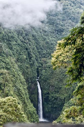 Hummingbird Cafe, bird watching + waterfall!