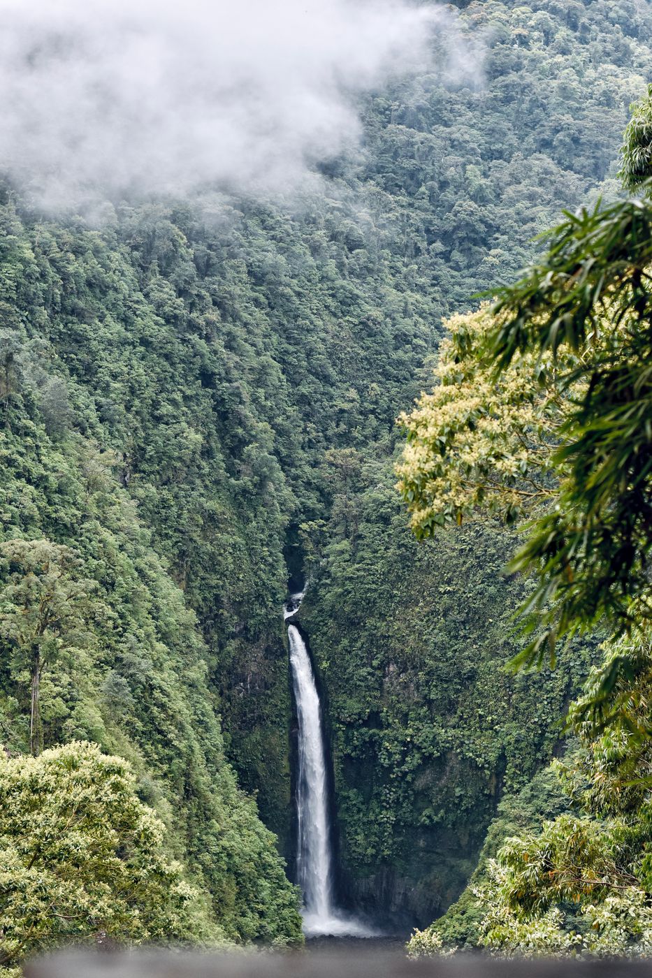 Hummingbird Cafe, bird watching + waterfall!, Costa Rica