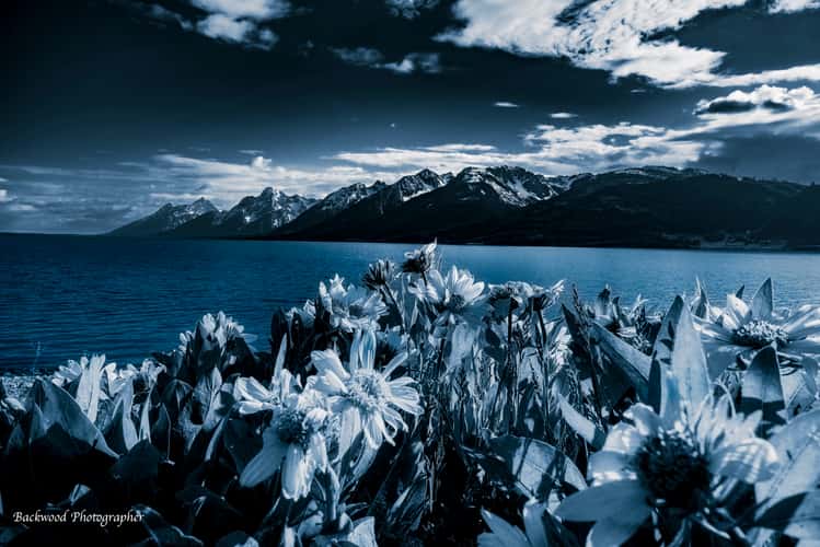 Jackson Lake Overlook, Grand Teton Park