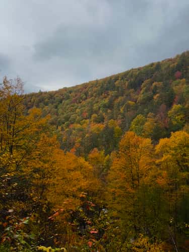 Kaaterskill Falls
