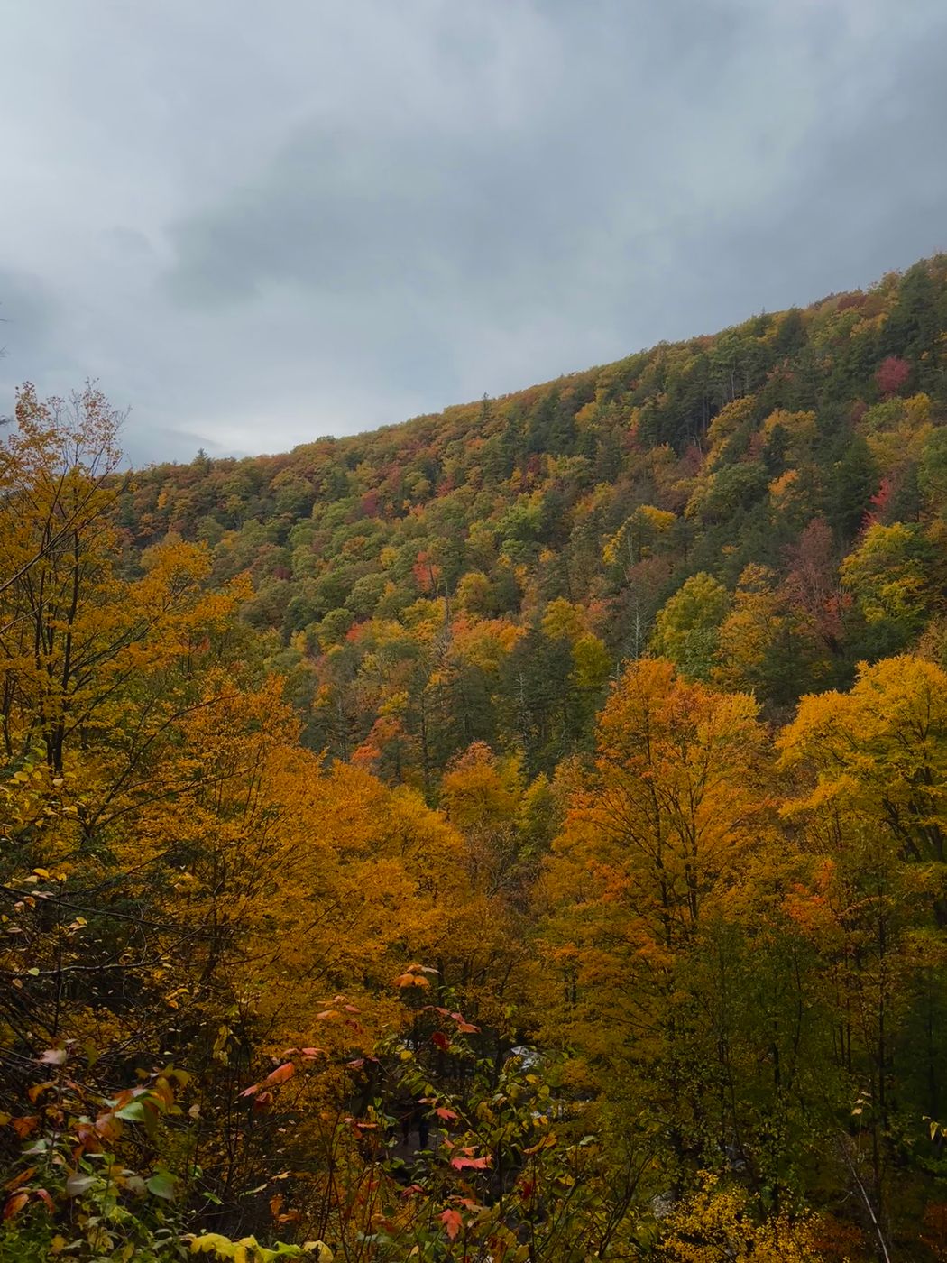 Kaaterskill Falls, USA
