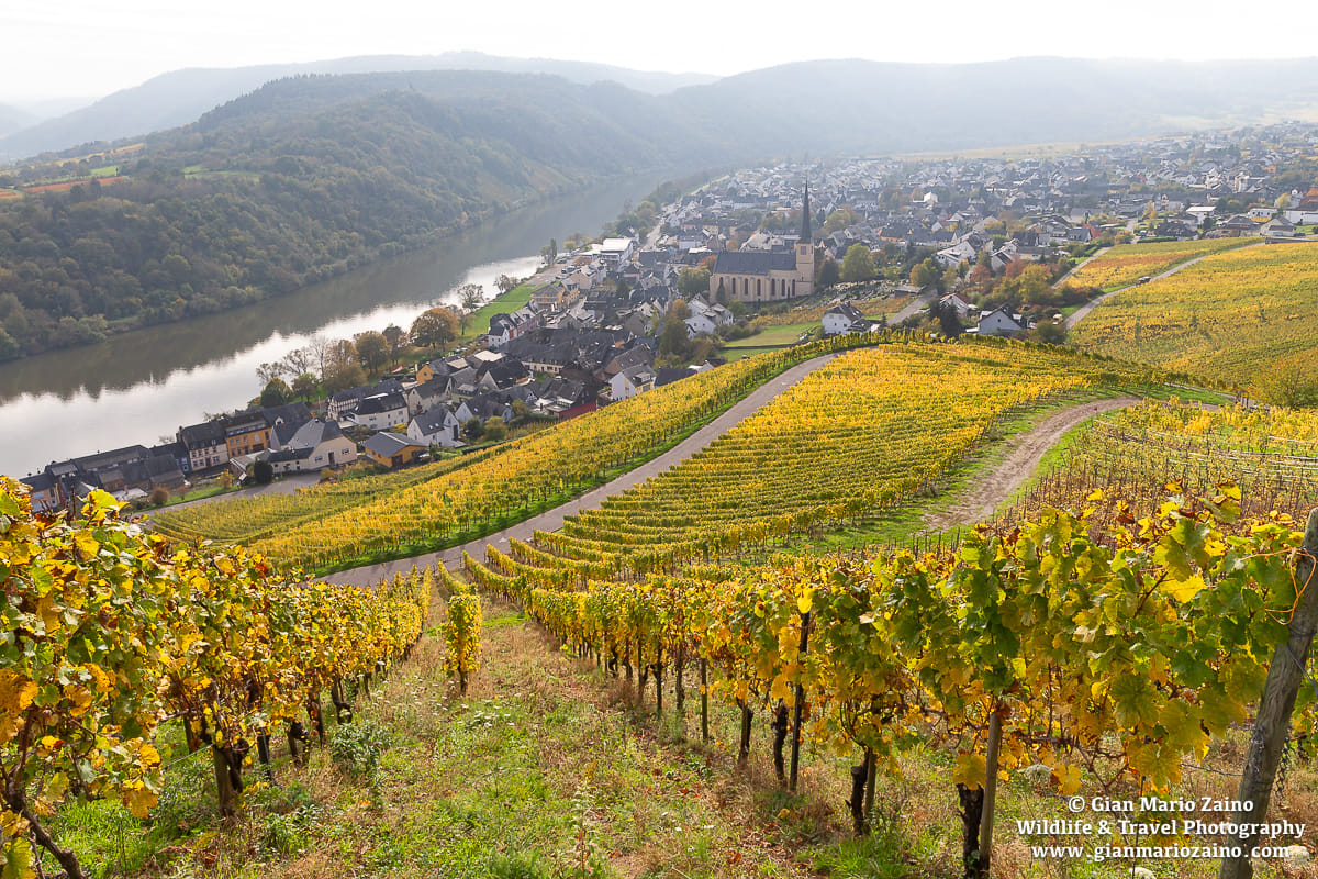 Kröv, Germany
