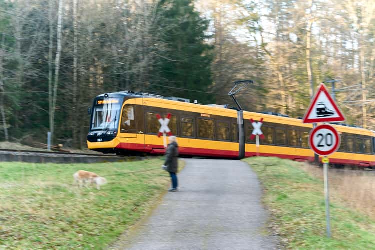 Kurpark Waldbronn