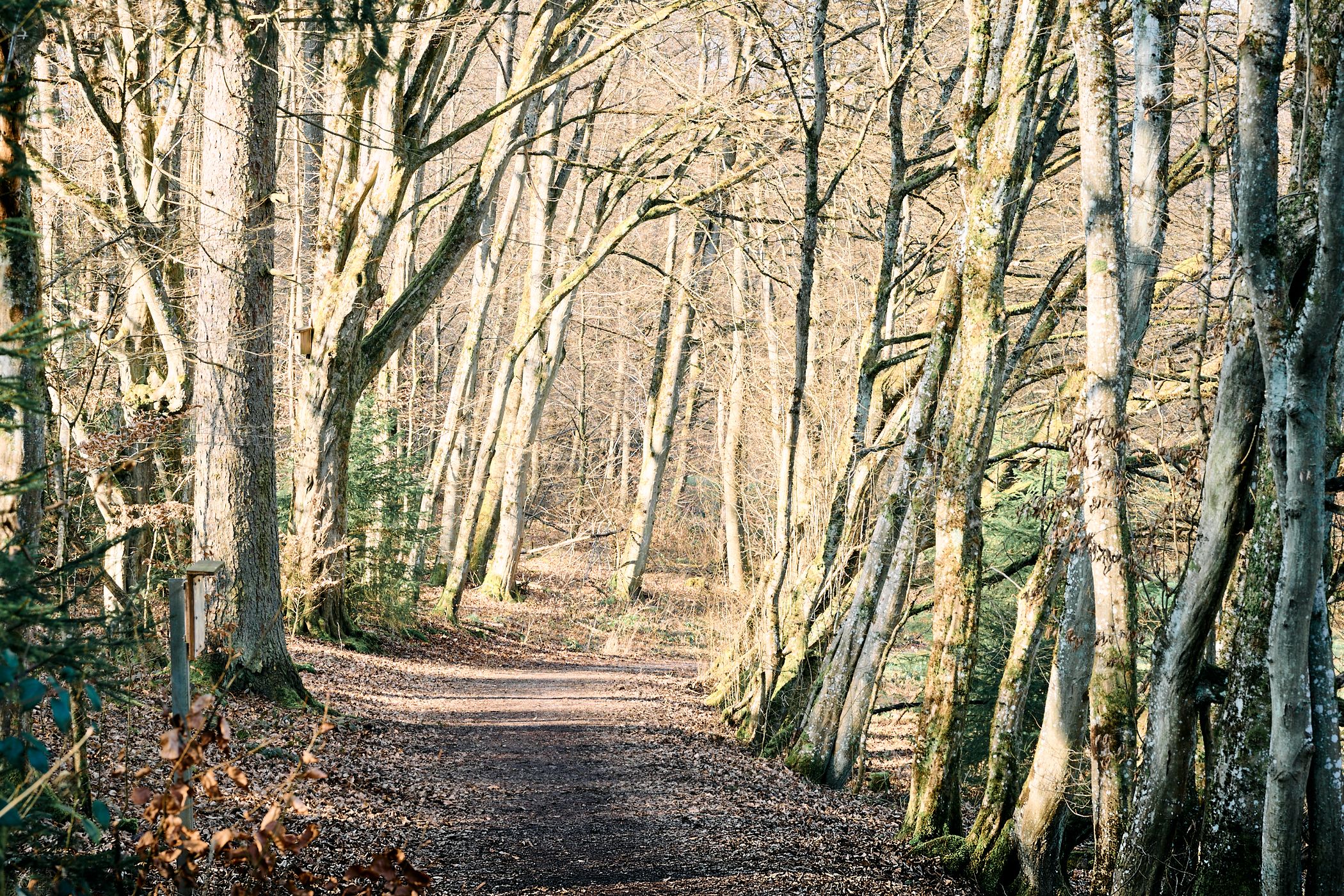 Kurpark Waldbronn, Germany