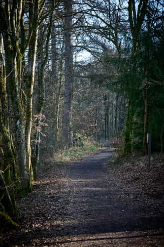 Kurpark Waldbronn