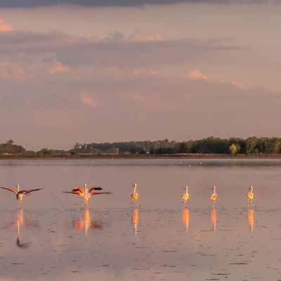 Laguna Lobos, Argentina