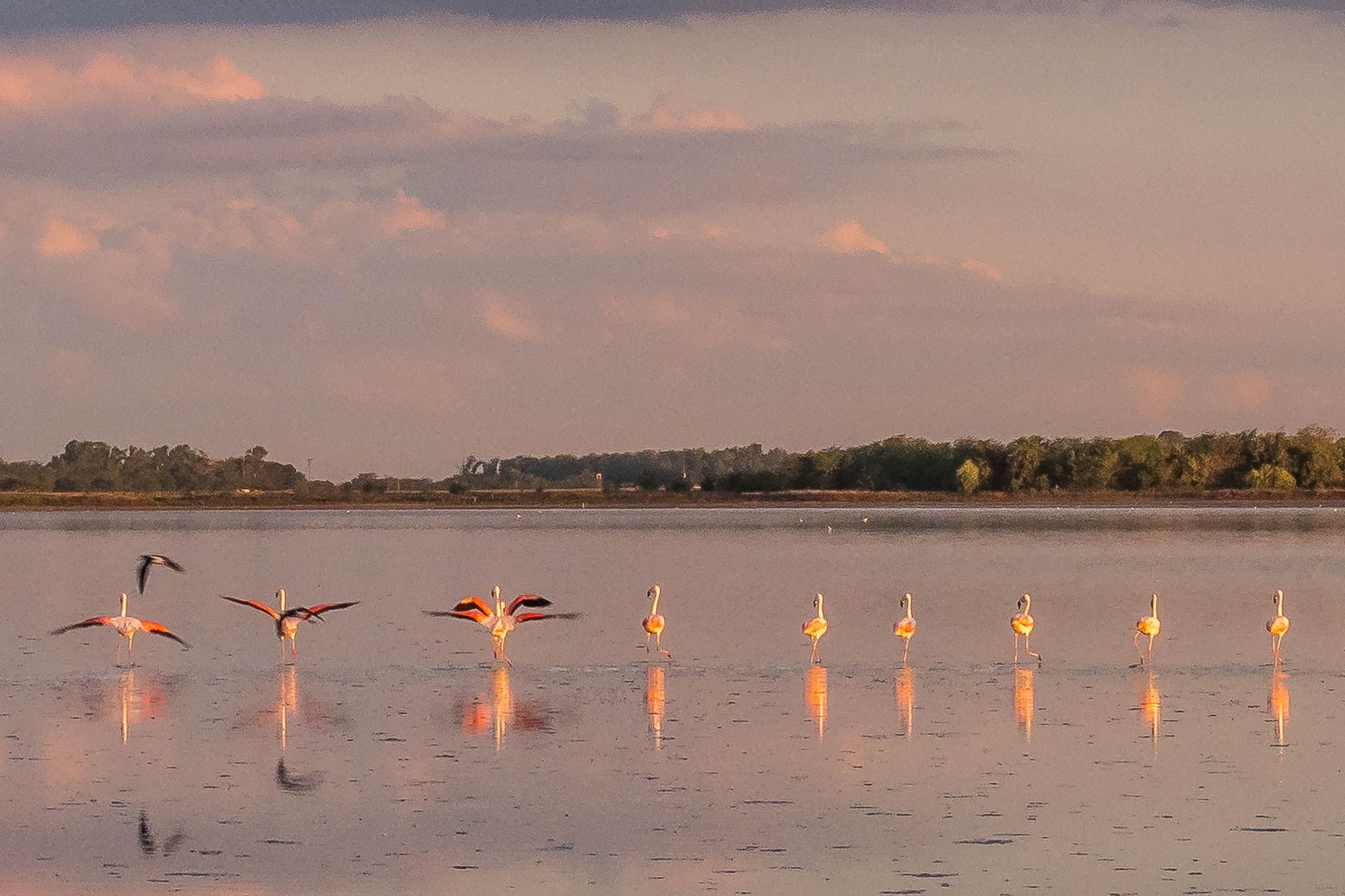Laguna Lobos, Argentina