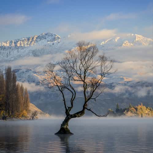 Lake Wanaka - The lonely Tree