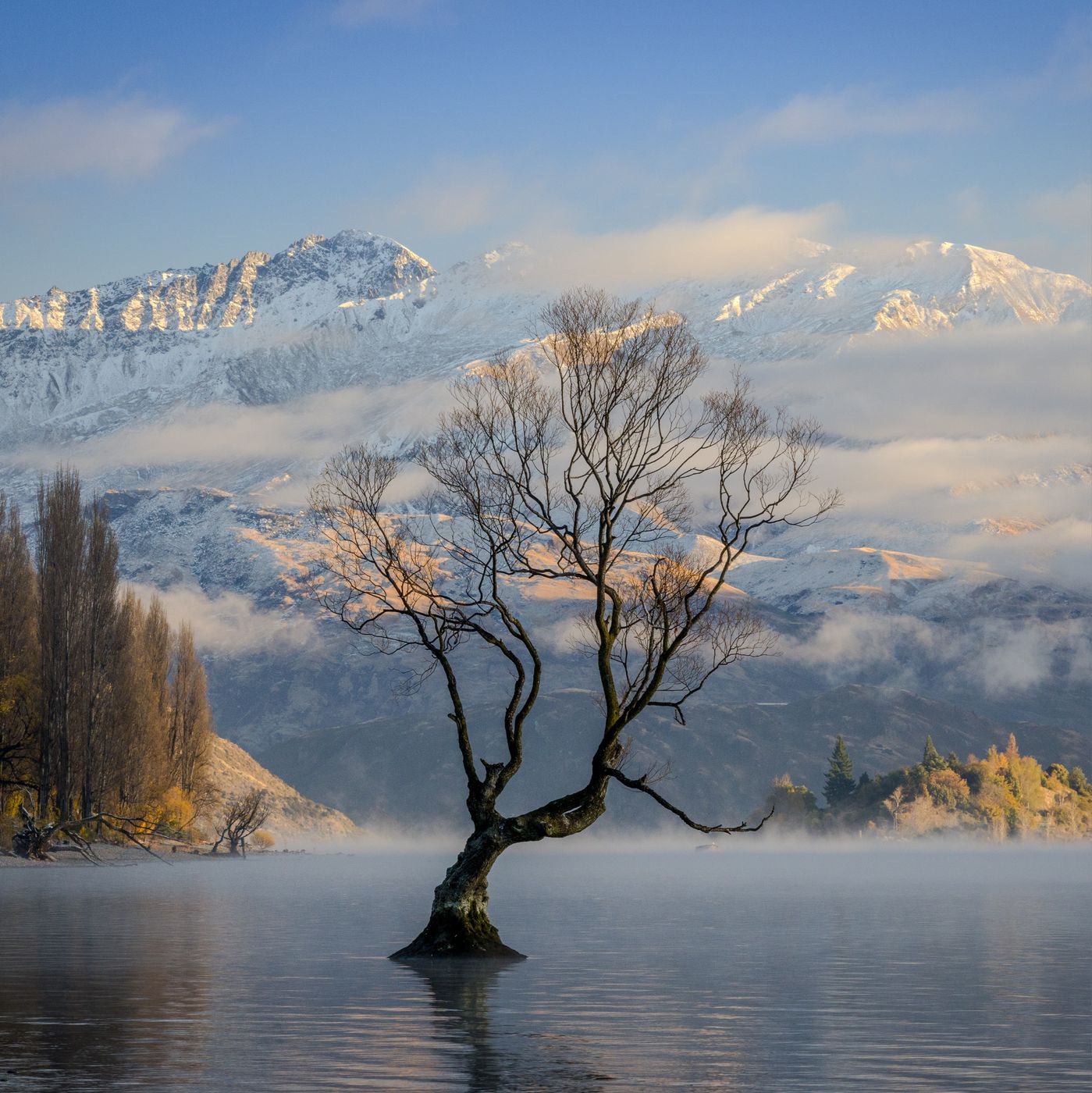 Lake Wanaka - The lonely Tree, New Zealand