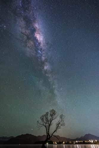 Lake Wanaka - The lonely Tree
