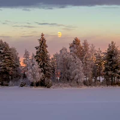 Morning mood in the Finnish winter, Finland