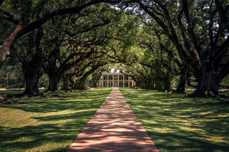 Oak Alley Plantation, Vacherie