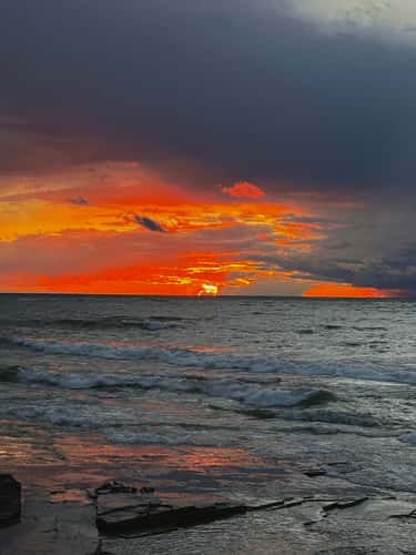 Oswego