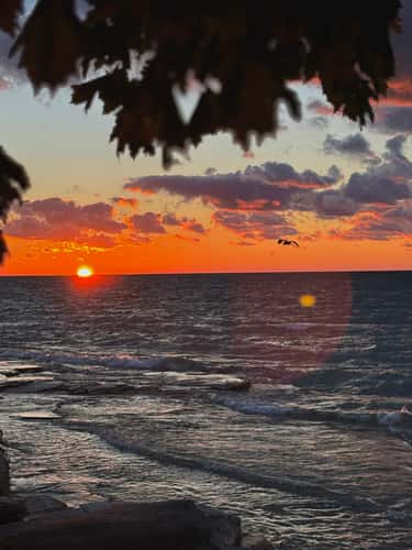 Oswego