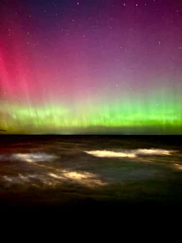 Oswego