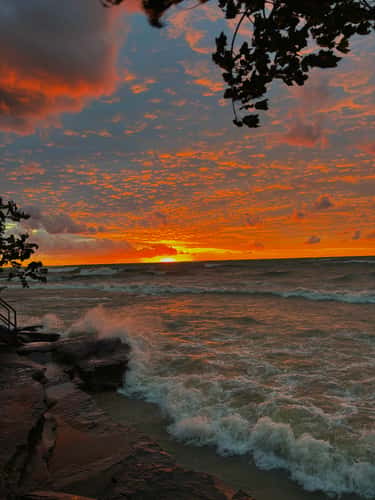 Oswego