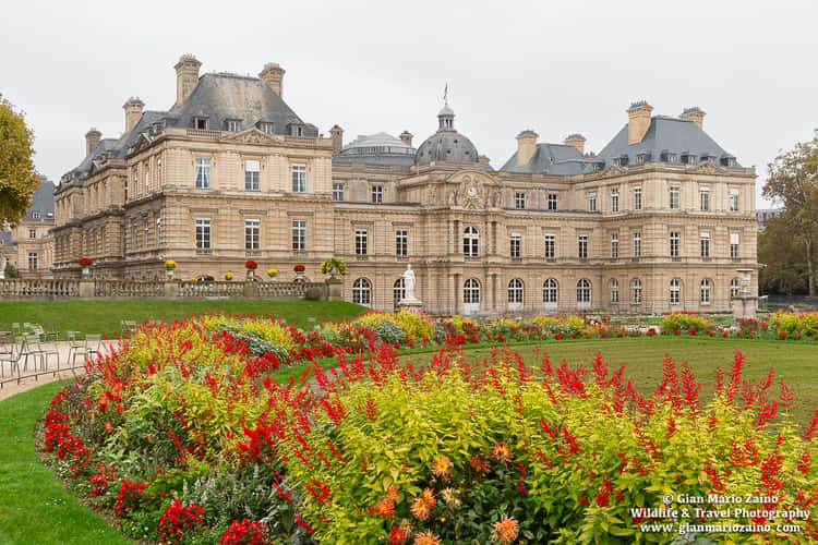 Palais de Luxembourg