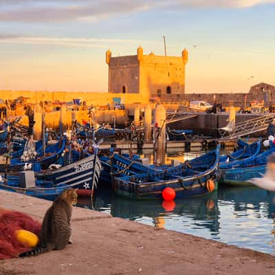 Port of Essaouira, Morocco