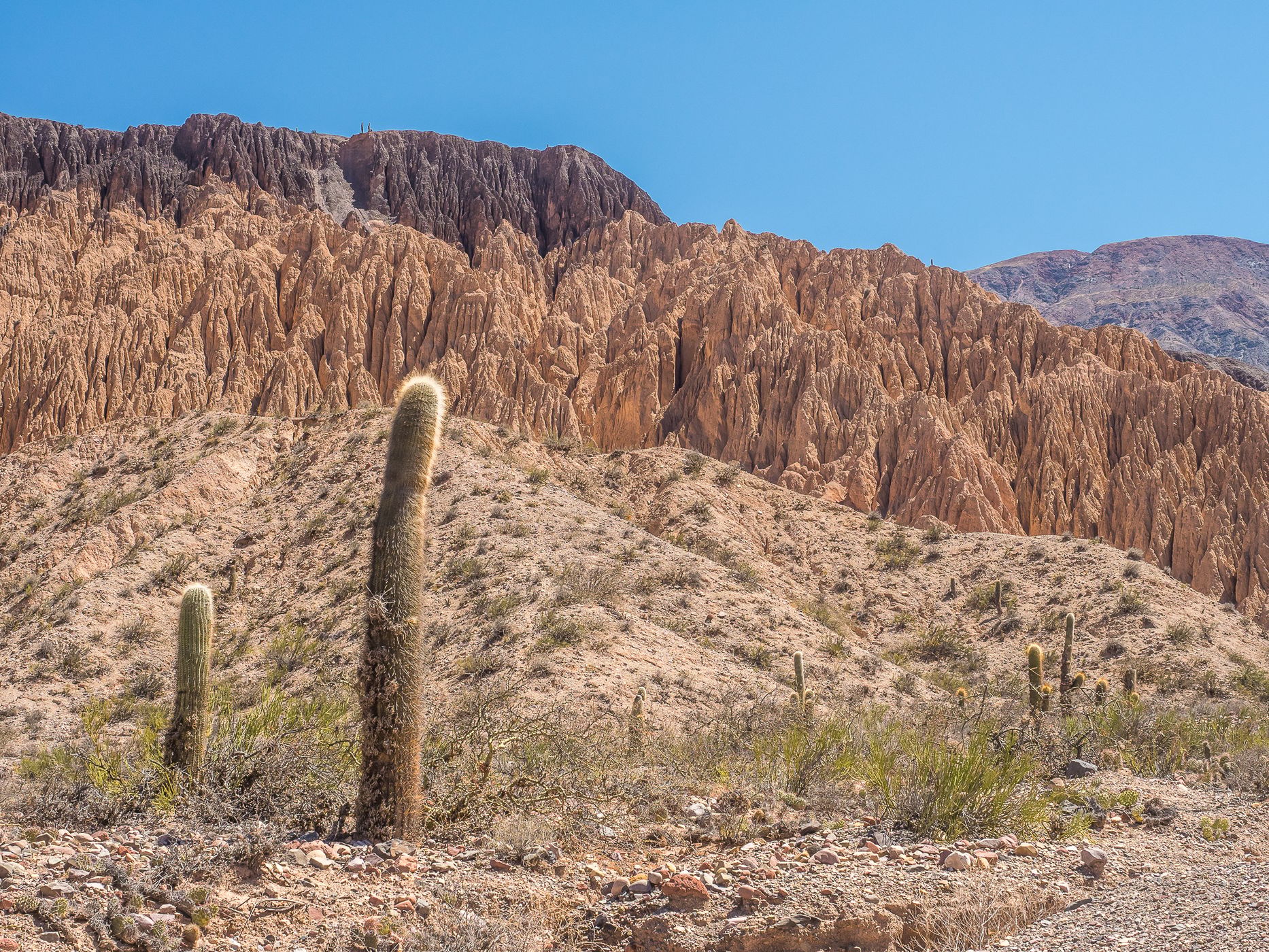 Quebrada de Humahuaca, Argentina