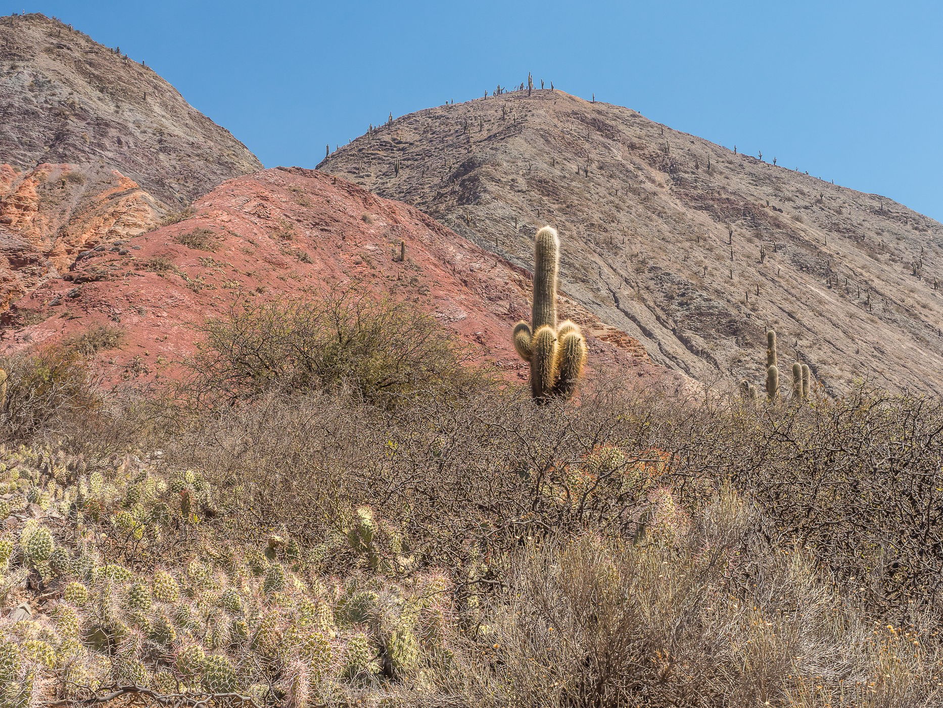 Quebrada de Humahuaca, Argentina