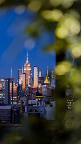 Rooftop bar citizenM New York Bowery hotel