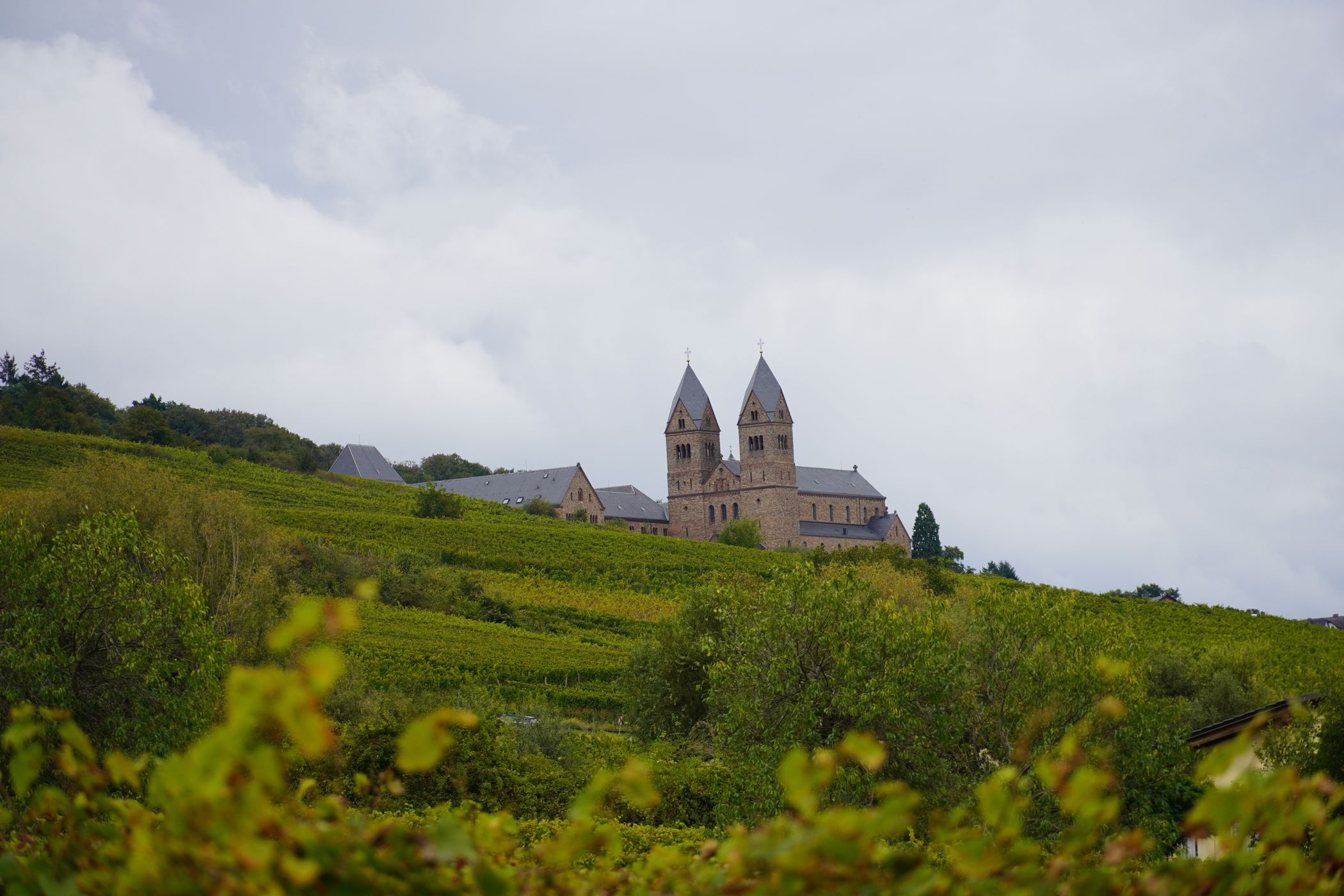 Rudesheim Vineyards, Germany