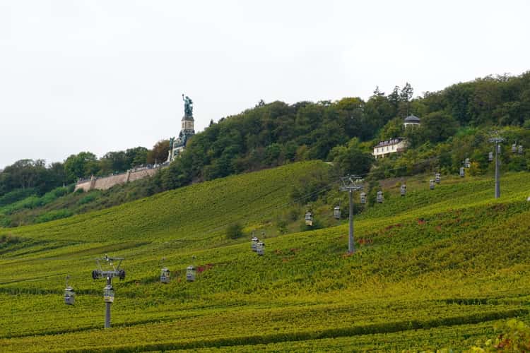 Rudesheim Vineyards
