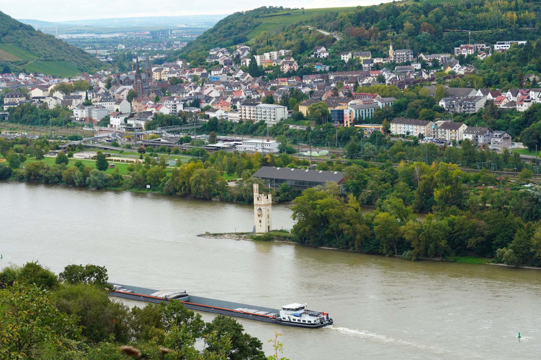 Rudesheim Vineyards, Germany