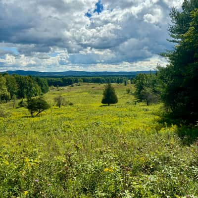 Saratoga National Historic Park, USA