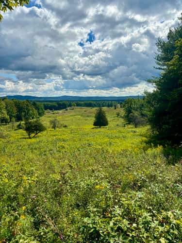 Saratoga National Historic Park