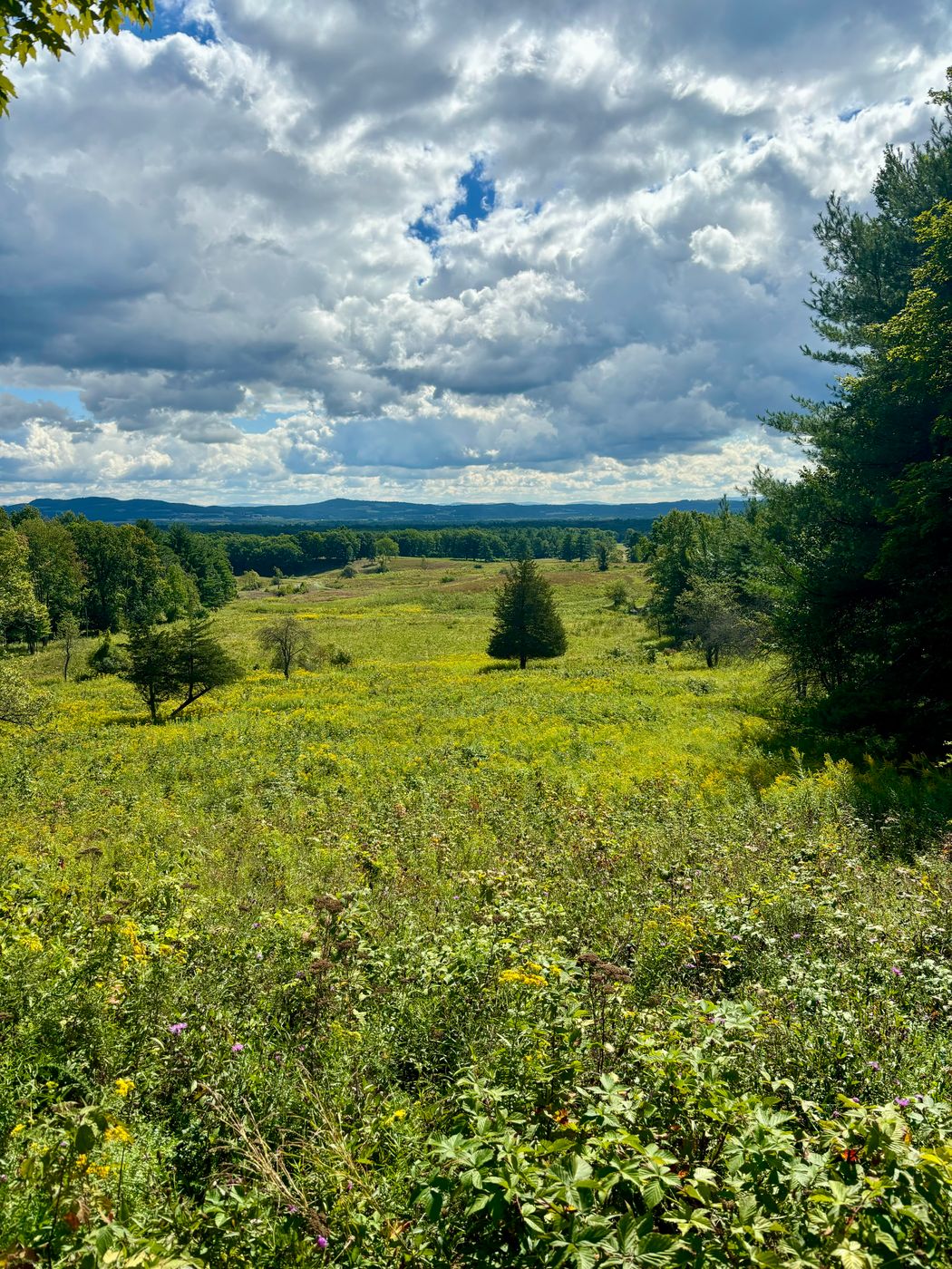 Saratoga National Historic Park, USA