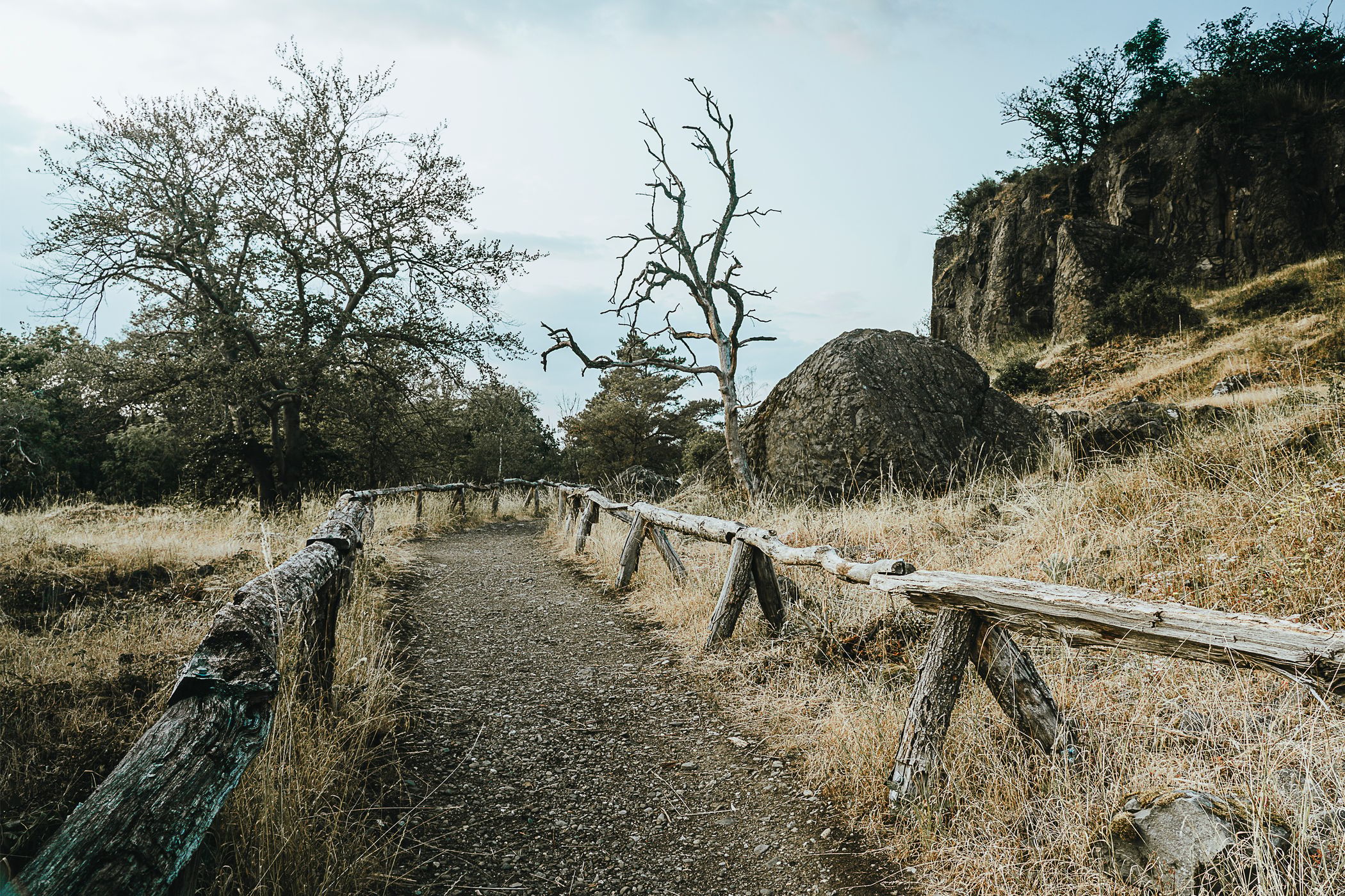 Stenzelberg walkway, Germany