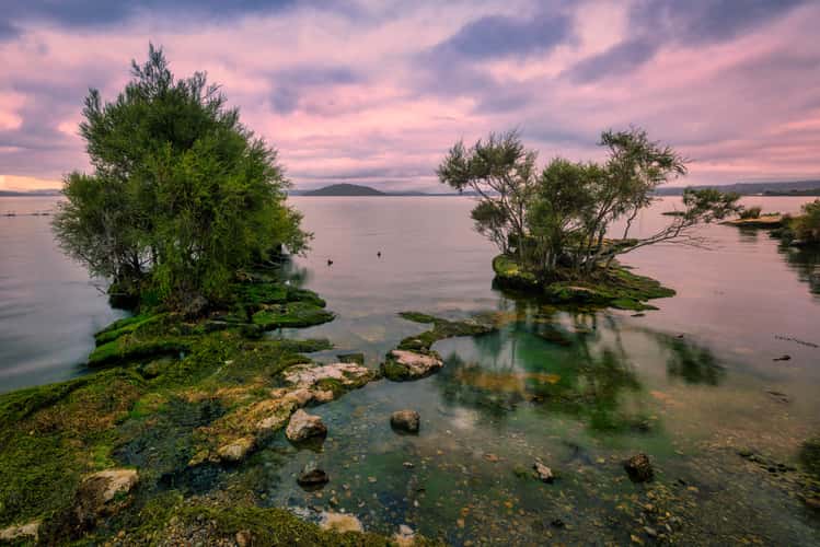 Sunrise Lake Rotorua, Rotorua, North Island