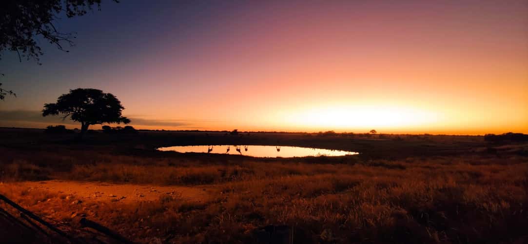 Sunset at Etosha National Park