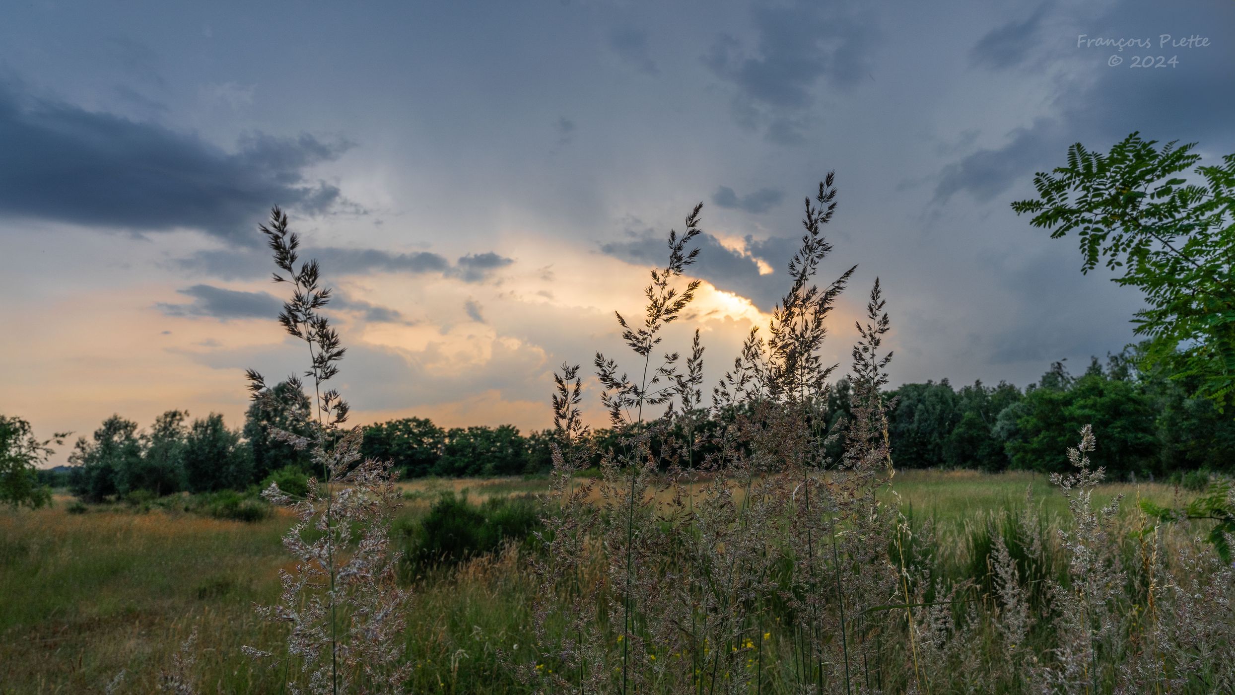 Terril du Gosson, Belgium