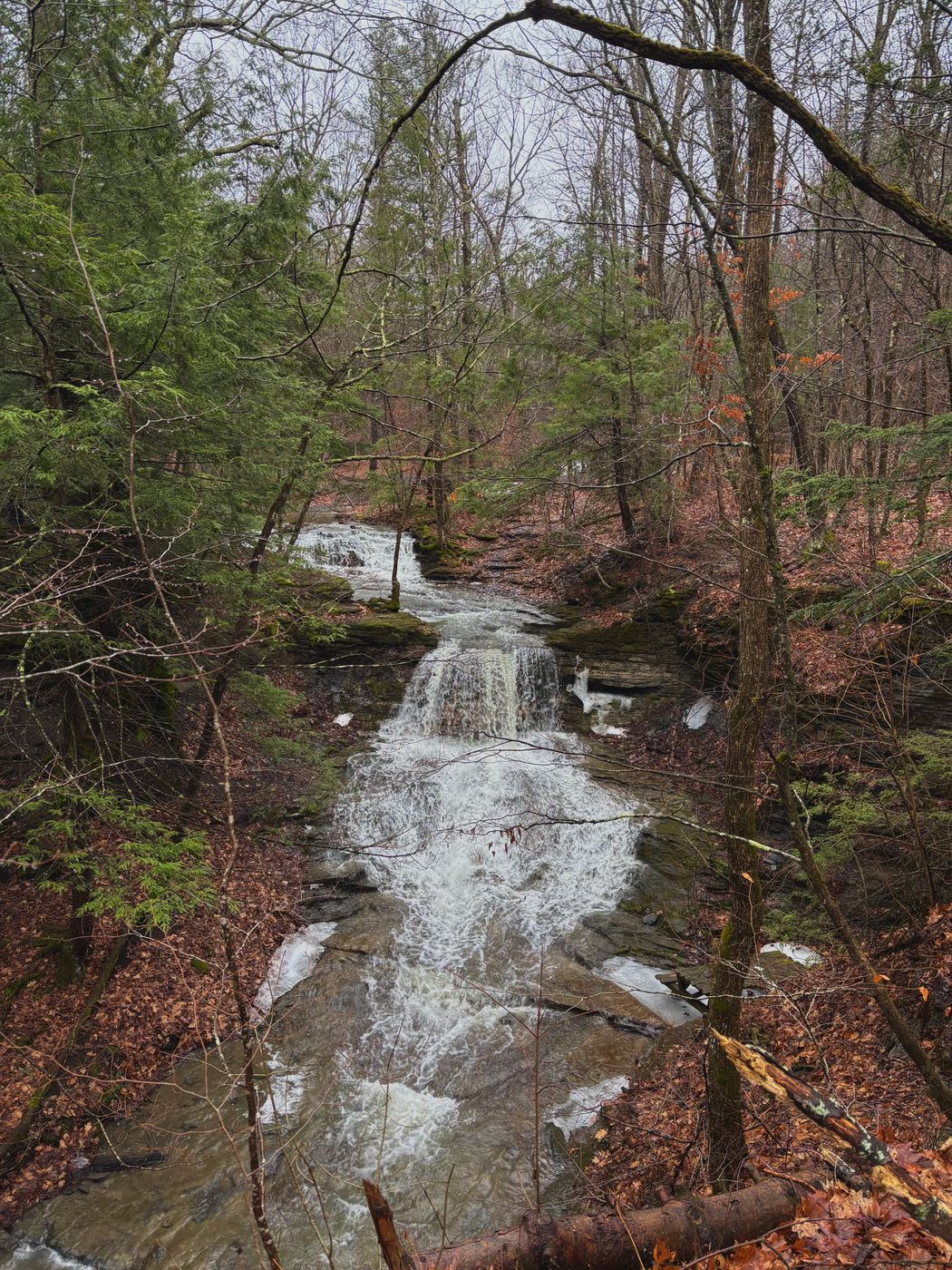 Thacher State Park, USA