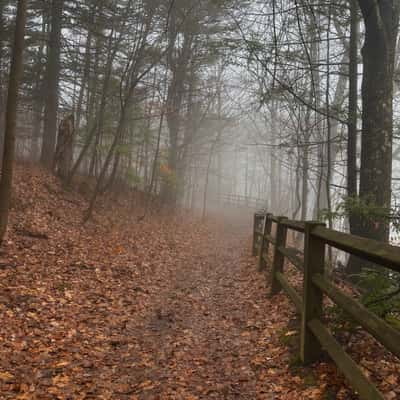 Thacher State Park, USA