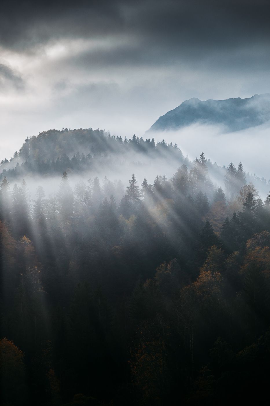 Thalgau Mountain view, Austria