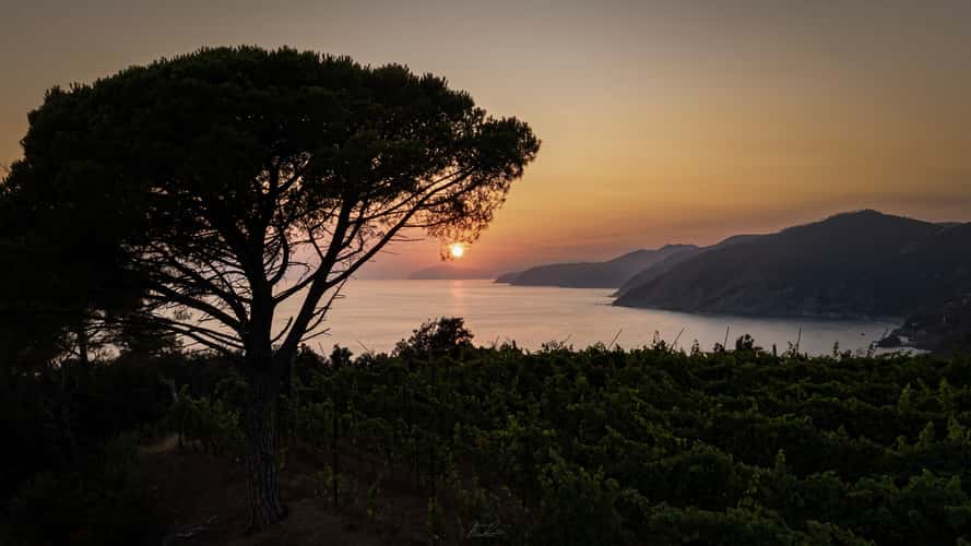 Vista point near Bonassola