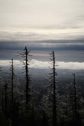Wanderwege Brocken