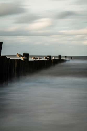 Wangerooge Beach