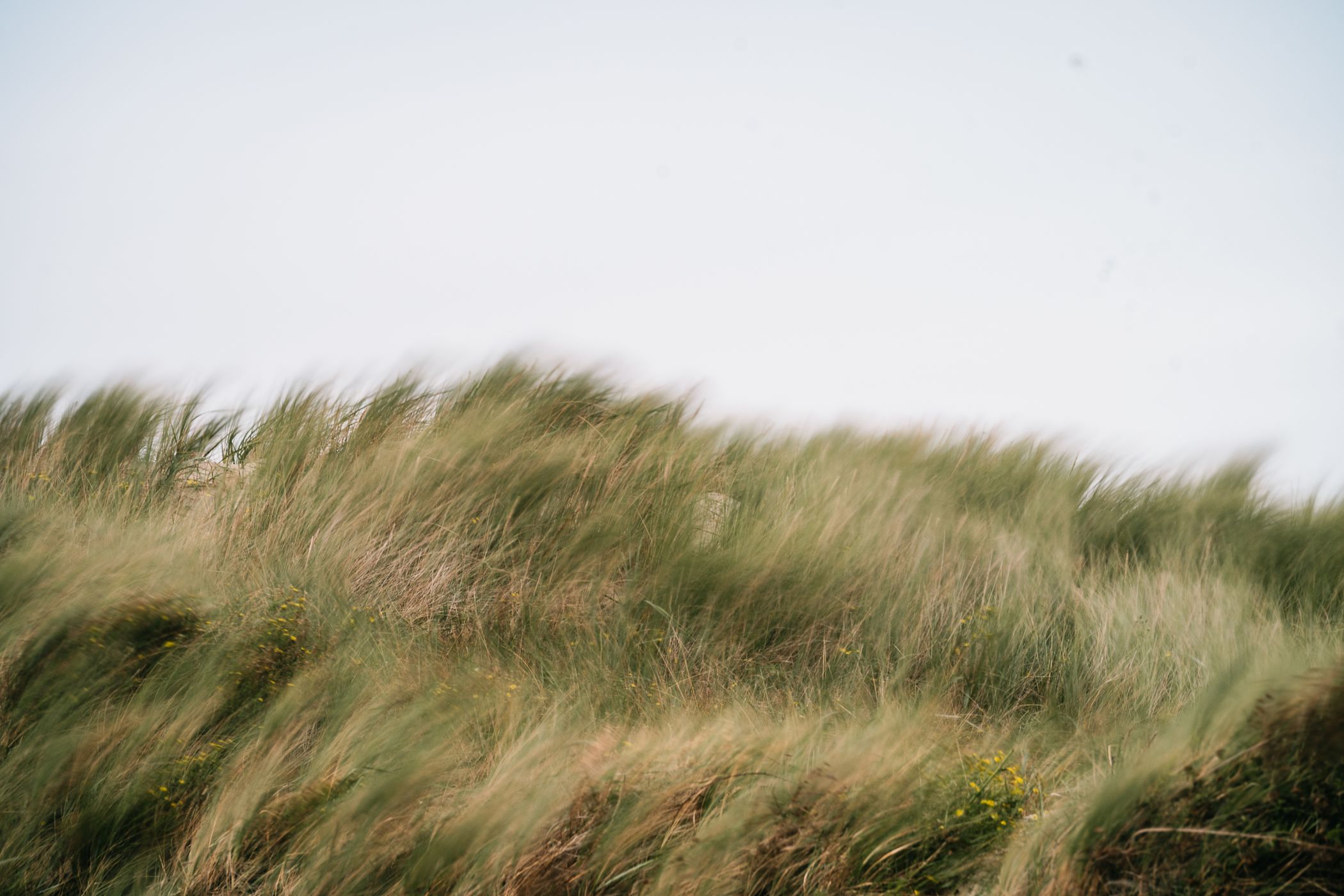 Wangerooge Beach, Germany