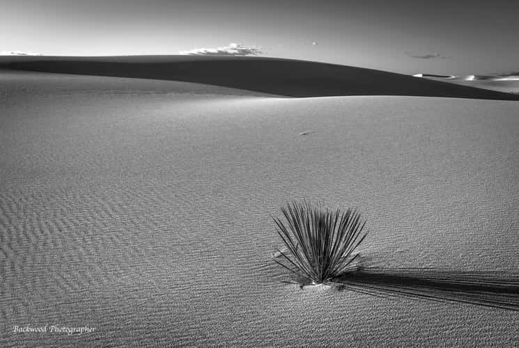 White Sands National Park