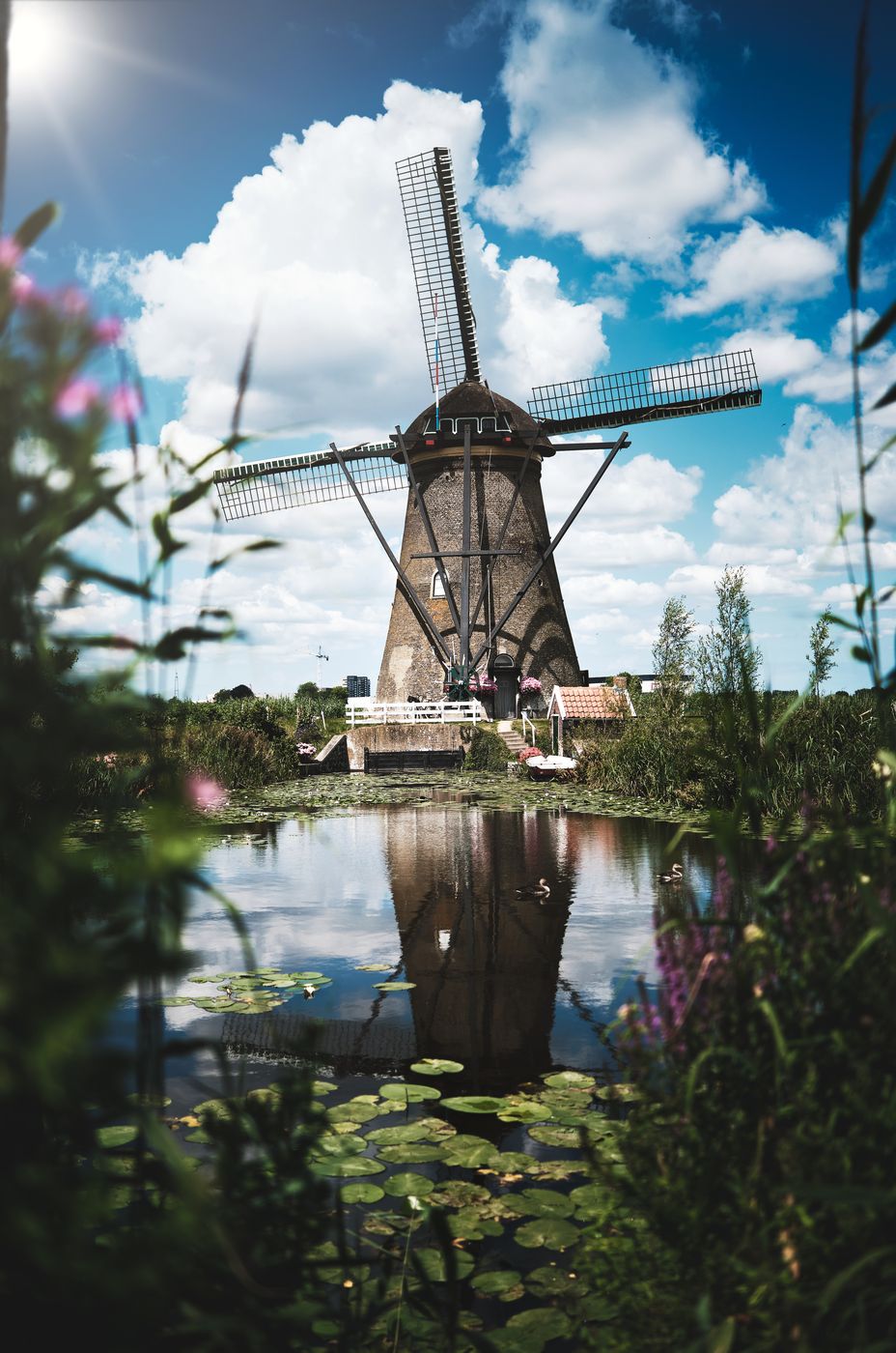 Windmills Wheat, Netherlands