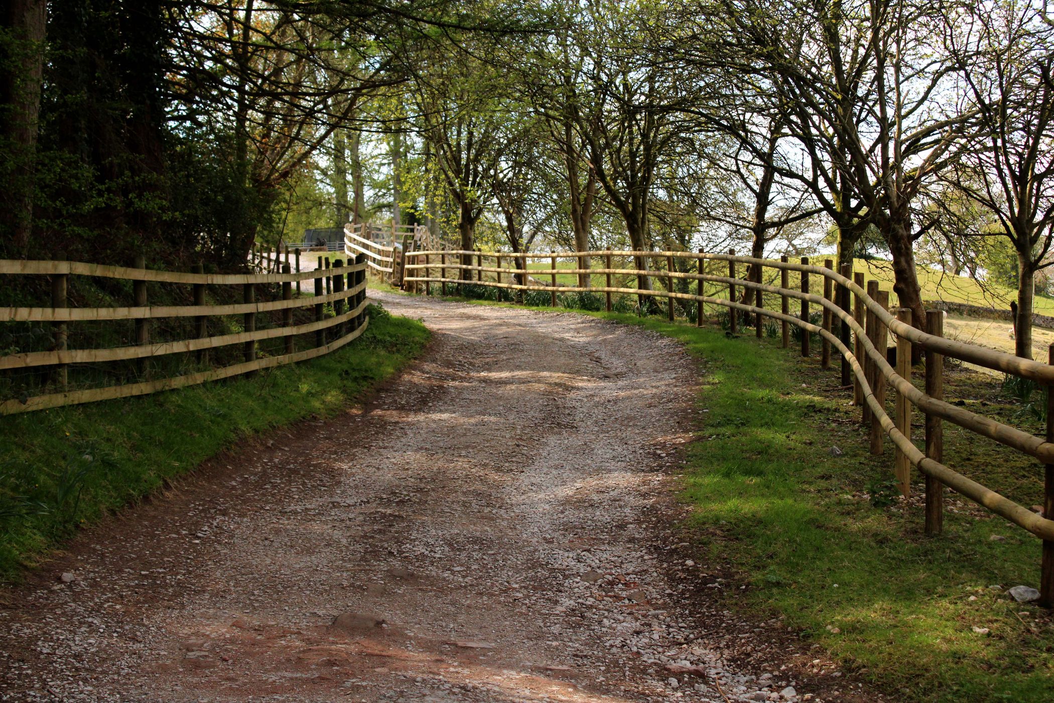 Woods near Ellastone id Staffordshire., United Kingdom