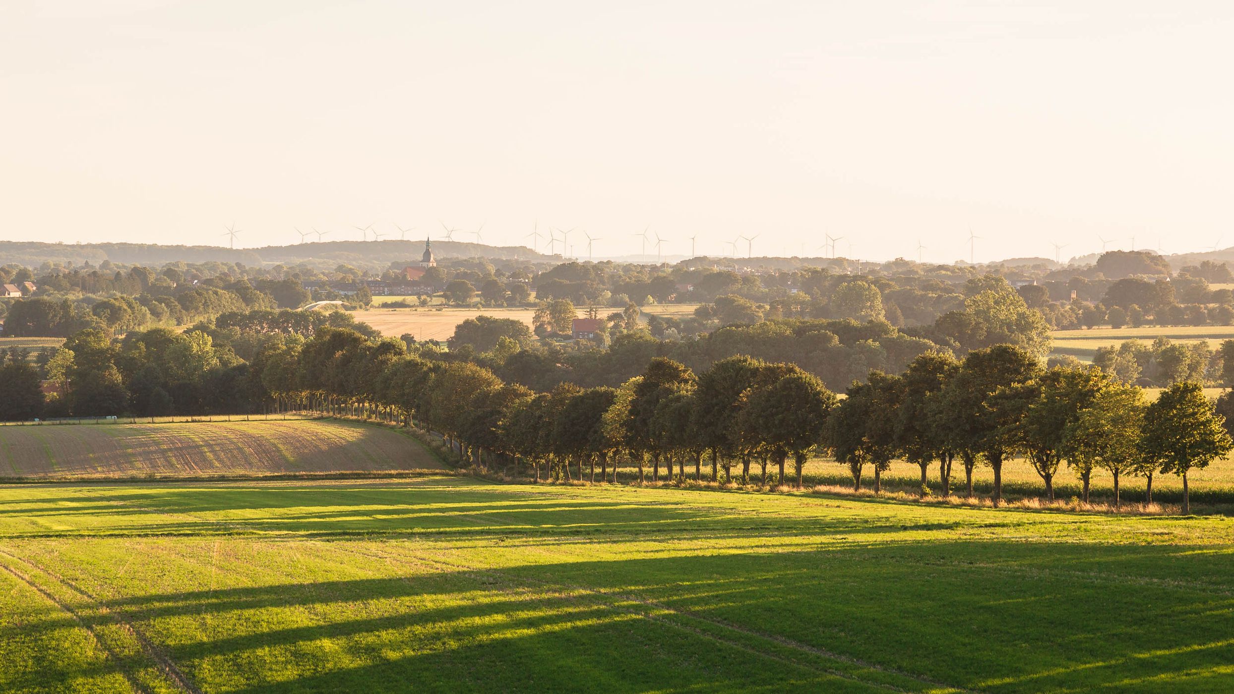 Alley near Havixbeck with a view of Nottuln, Germany